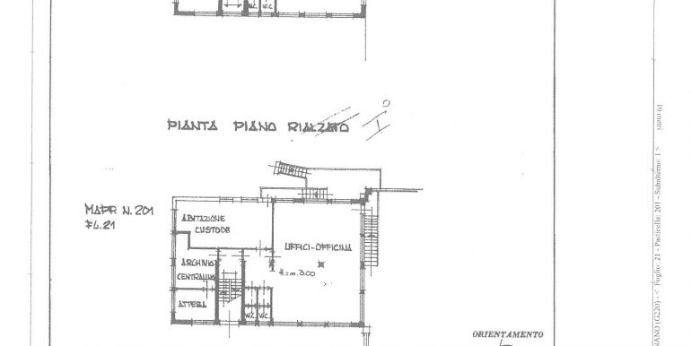 piantina (2)