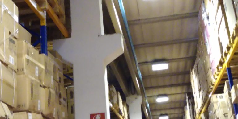 1 (25)