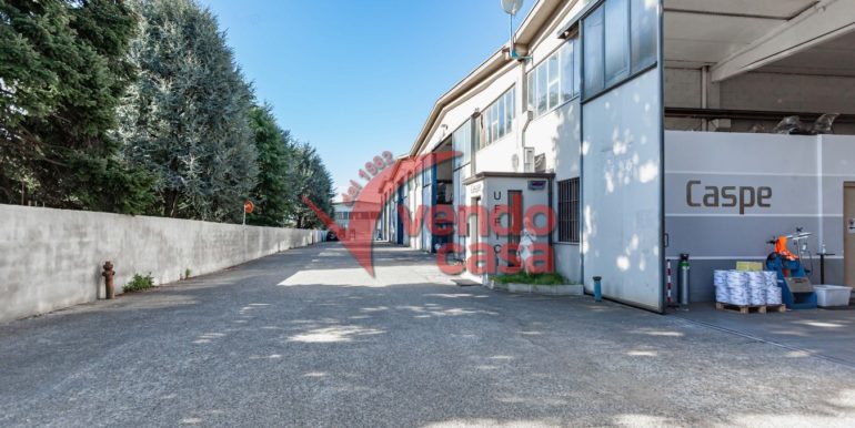 ESTERNI (6)
